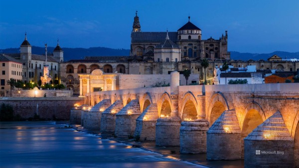 テスト株式会社